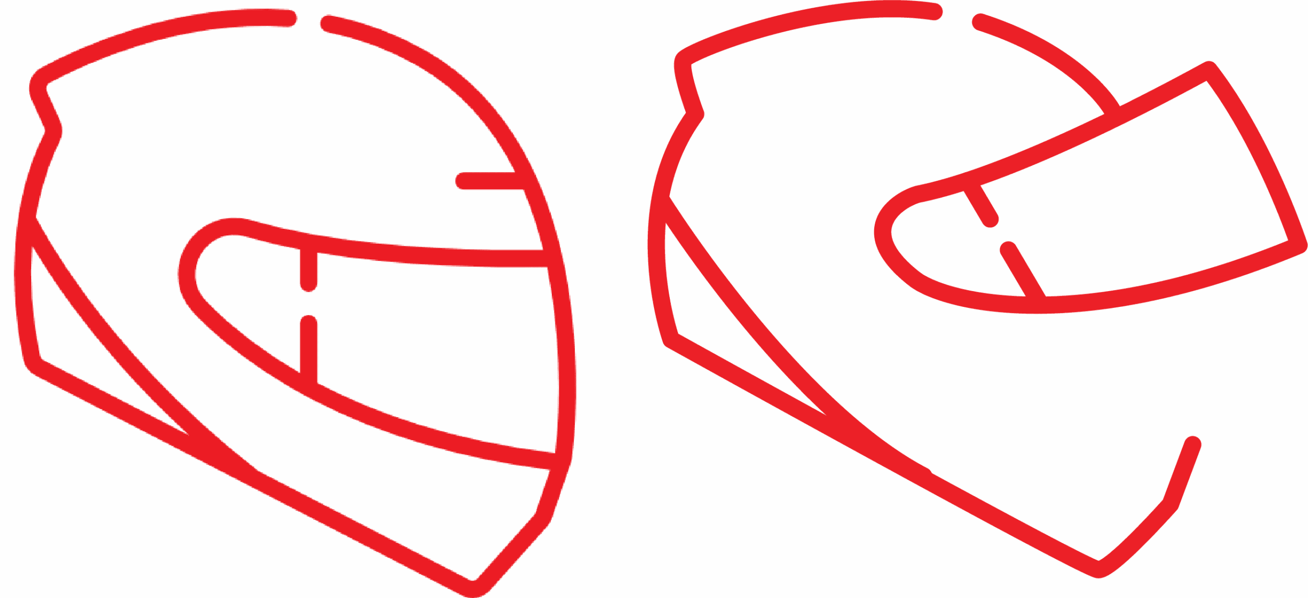 Dual Shield System